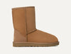 Classic Short II Boot Chestnut