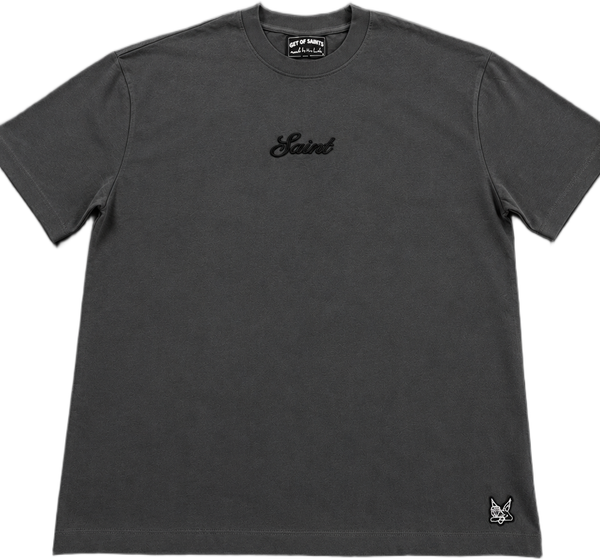 Saint Terry T-Shirt Graphite Fade