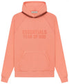 Fear of God Essentials Pre-Fall 2022 Hoodie NIB