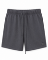 Saint Terry Shorts Graphite
