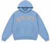 Saint Heavyweight Brushed Hoodie Blue Bird